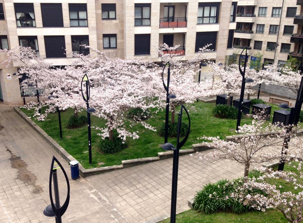 سان سيباستيان Pension T5 Donostia Suites المظهر الخارجي الصورة